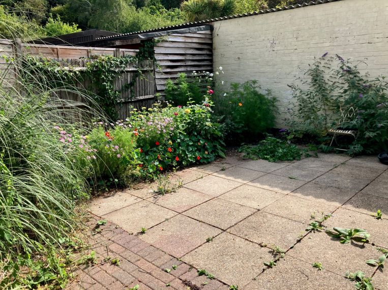 Property 3330 - image 8